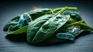 Related Stories banner