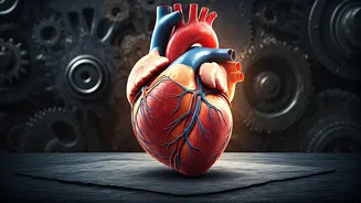 5 Hidden Heart Attack Risks: Beyond Diet and Exercise