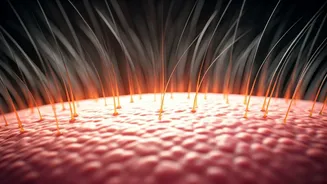 Hair Fall: Understanding Causes and Solutions