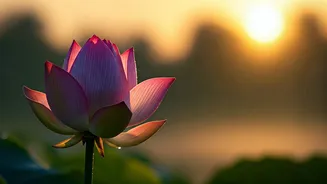 Related Stories banner