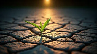 India's Rainfall Shift Could Make Daily Living Costlier