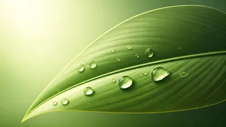 Dermatologist's 7 Secrets: Unlock Youthful Skin for Lasting Radiance