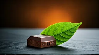 Sugar-Free Chocolate: Health Benefits and Amul's Bestselling Status in India