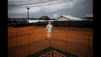 Ebola: OMS declara emergência internacional após avanço de casos no Congo e Uganda