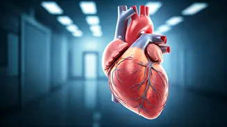 Unlocking Longevity: Science-Backed Strategies for Healthy Aging