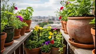 Small Balcony, Big Results: Drainage Tips Every Urban Gardener Should Know