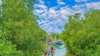 Satellite Technology Proves Sundarbans Mangroves Provide Superior Coastal Storm Protection