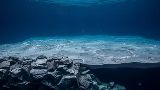 Underwater Tests Help NASA Prepare Geology Tasks for the Moon's South Pole