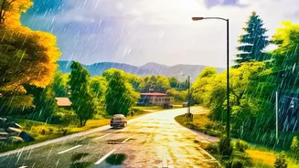 How To Master Monsoon Driving On Road Trips From Bangalore To Agumbe