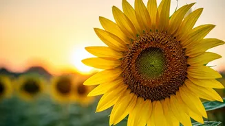 Unlock Your Day: 7 Powerful Morning Affirmations for a Positively Charged Life