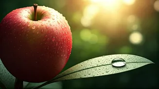 Summer Skin Survival Guide: Expert Tips for a Radiant Glow All Season