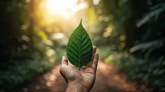 Travel Meets Environmental Awareness