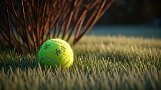 Tennis Balls: A Simple, Surprising Savior for Winter Wildlife in Your Garden