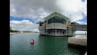 Oceanário de Lisboa: último meses para visitar a exposição Florestas Submersas