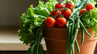 Grow Fresh Vegetables Without Gardening Skills