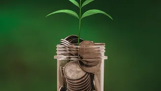 Why Your First Salary Deserves a Plan Before the Celebration Begins