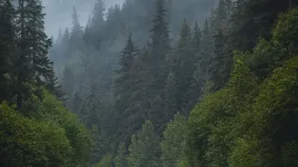 Hill Travel During The Rains: How To Know When Conditions Could Change