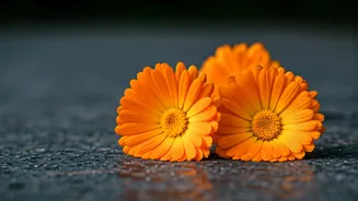 Top 5 Solo Travel Destinations in India: Explore the Beauty!