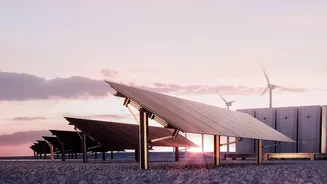 Plant-Based Battery Materials: Low-Cost Energy Storage Solutions For E-Bikes