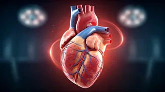 Long COVID's Hidden Toll: Unveiling Increased Cardiovascular Disease Risks in Survivors