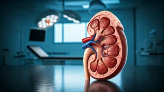 Kidney Health & Chronic Diseases: The Unseen Connection