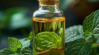 Create rich zero waste cooking oils using leftover coriander and mint stems