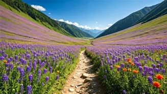 Valley Of Flowers Has Entered Peak Planning