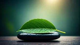 A 65-Year-Old's Natural Triumph Over Persistent Cold and Cough: A Holistic Wellness Journey