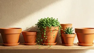 How To Achieve The Grounded Terracotta Aesthetic At Home
