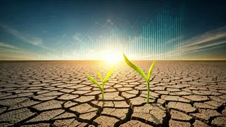 Prices, Demand, Rainfall: Monsoon Planning Gets Serious