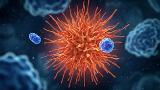 Obesity's Hidden Danger: A Higher Risk of Severe Infections Revealed