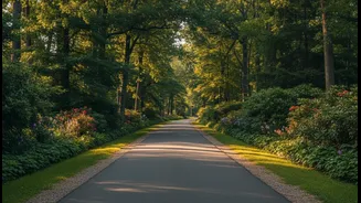 A Familiar Park Loop Can Become a Low-Pressure Fitness Habit