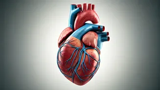 Heart Health: Simple Ways to Check & Improve Your Well-being