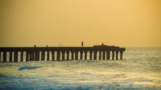 Chennai on Fog Alert: Met Warns of Poor Visibility Till Jan 17, Flights and Traffic May Be Hit