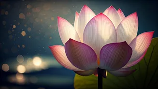 Ethereal Sanskrit Names for Baby Girls: Embracing Tradition and Modern Grace