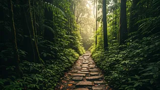 Nature Lovers Share Breathtaking Views From Hidden Pathways Of Agumbe