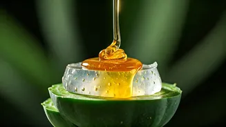 Honey Cactus Gel Is A Soothing Skincare Idea