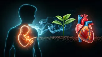 Dad's Health Matters: How Fatherhood's Fitness, Smoking Habits Impact Baby's Future