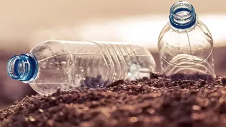 How Bio-Char From Crop Waste Protects City Homes From Microplastic Tap Water