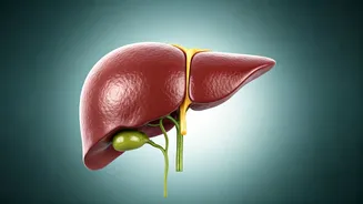 Cirrhosis Diagnosis: Understanding Reversibility, Treatment, and Lifestyle Changes