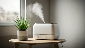 Small Homes Need Humidity-Smart Living Habits