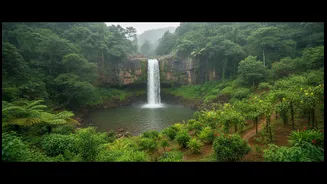 Why Goa's Hidden Hinterland Could Be Your Best Monsoon Holiday Yet