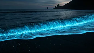 Beyond the Ordinary: Discover the World's 6 Most Extraordinary Beaches