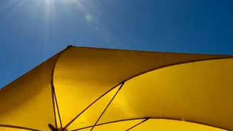 How Sun Exposure Habits Prevent Afternoon Slumps Better Than Extra Coffee Cups