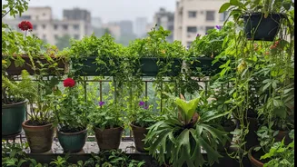 Monsoon Balcony Micro-Gardens Is Useful Context, Not a Guarantee, for Urban Renters and Home Gardeners