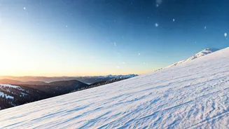 Related Stories banner