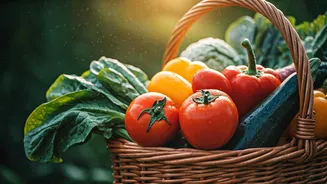 Eat What's In Season, Feel The Difference