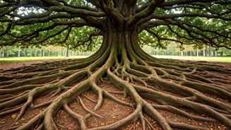 Build Mental Fortitude With These 8 Traits