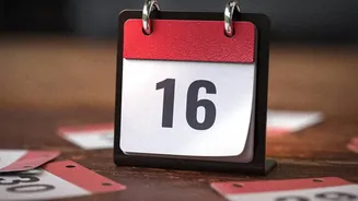 The Role of Checking the RBI Redemption Calendar in August's SGB Early-Exit Windows