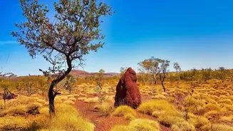 Five Australian Hotspots That May Not Match Every Traveller's Expectations